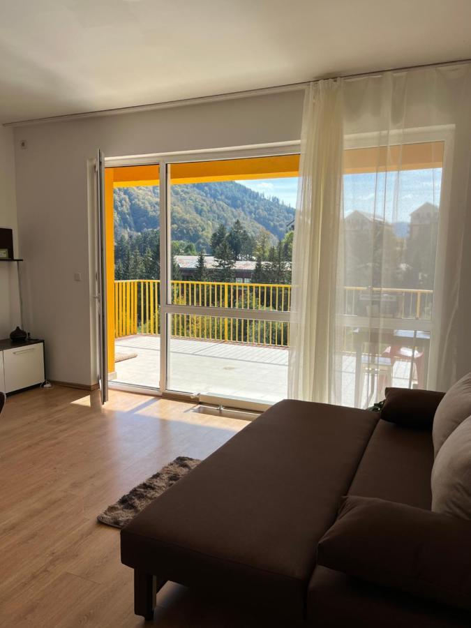 Anissia Apartament Apartment Sinaia Exterior photo