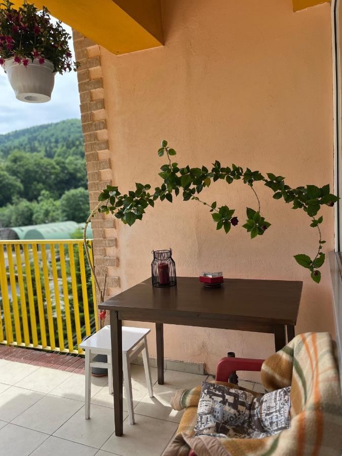 Anissia Apartament Apartment Sinaia Exterior photo